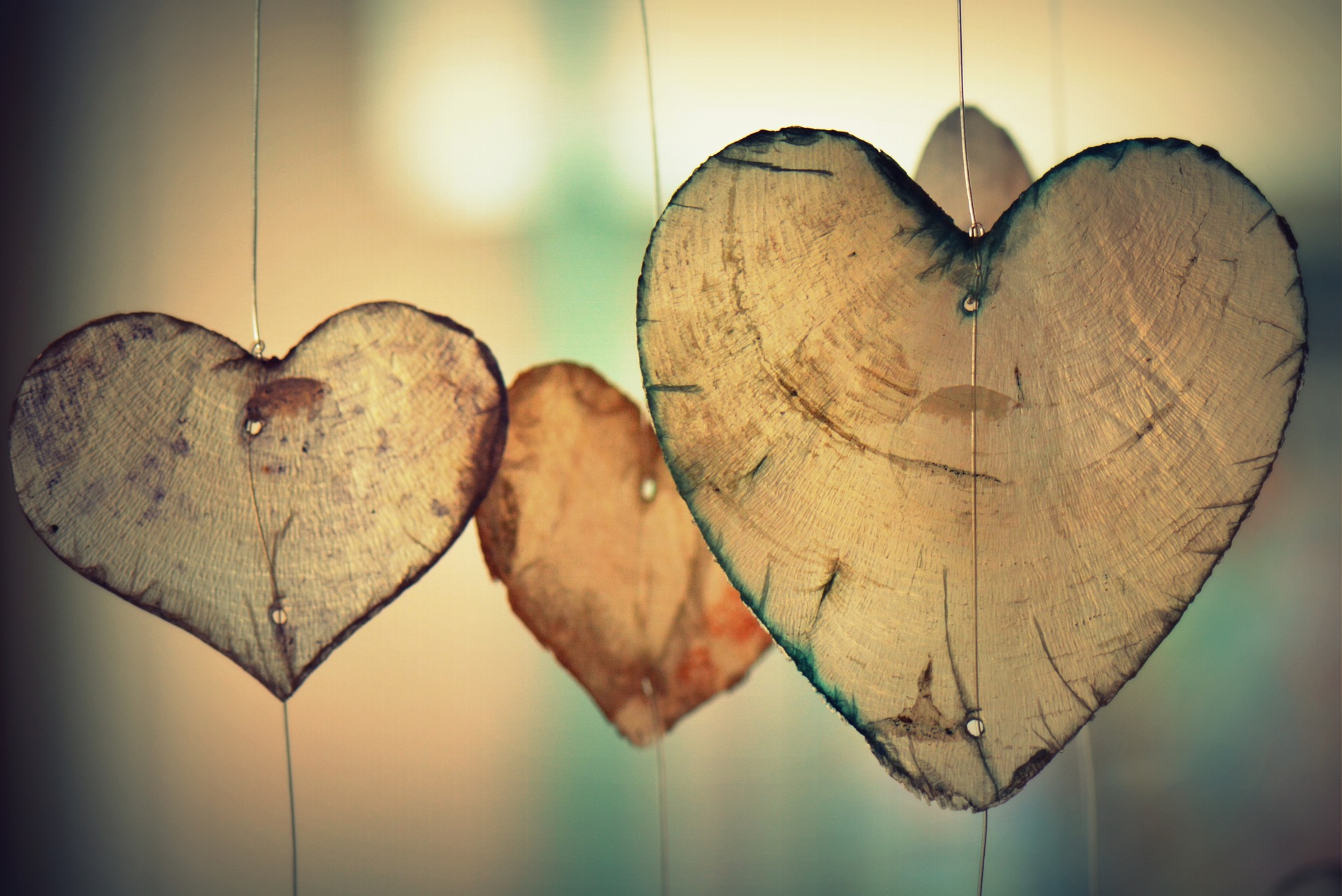 heart-700141_1920.jpeg