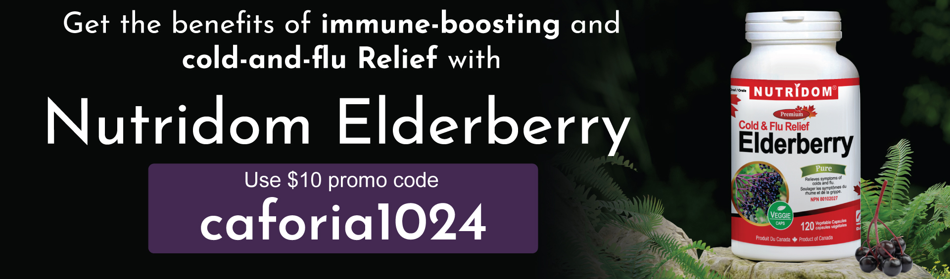 elderberry-banner-en.jpg